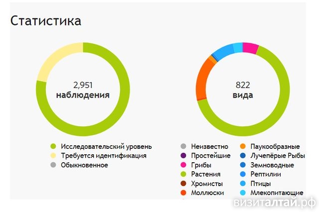 Статистика проекта Тигирекского заповедника на iNaturalist.org_7 ноября 2019.jpg