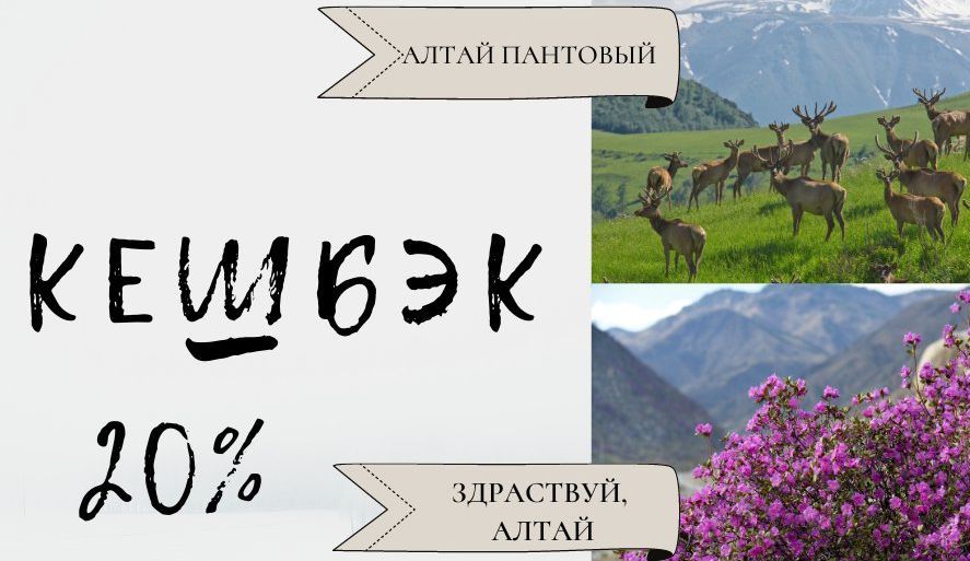 С маршрутами партнеров программы туристического кешбэка из Алтайского края знакомьтесь на региональном турпортале