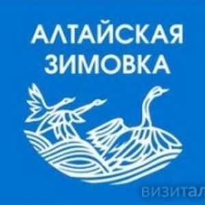 Широко праздновать прилет лебедей в Алтайском крае в этом году не станут. «Алтайскую зимовку» отметим в 2021-м