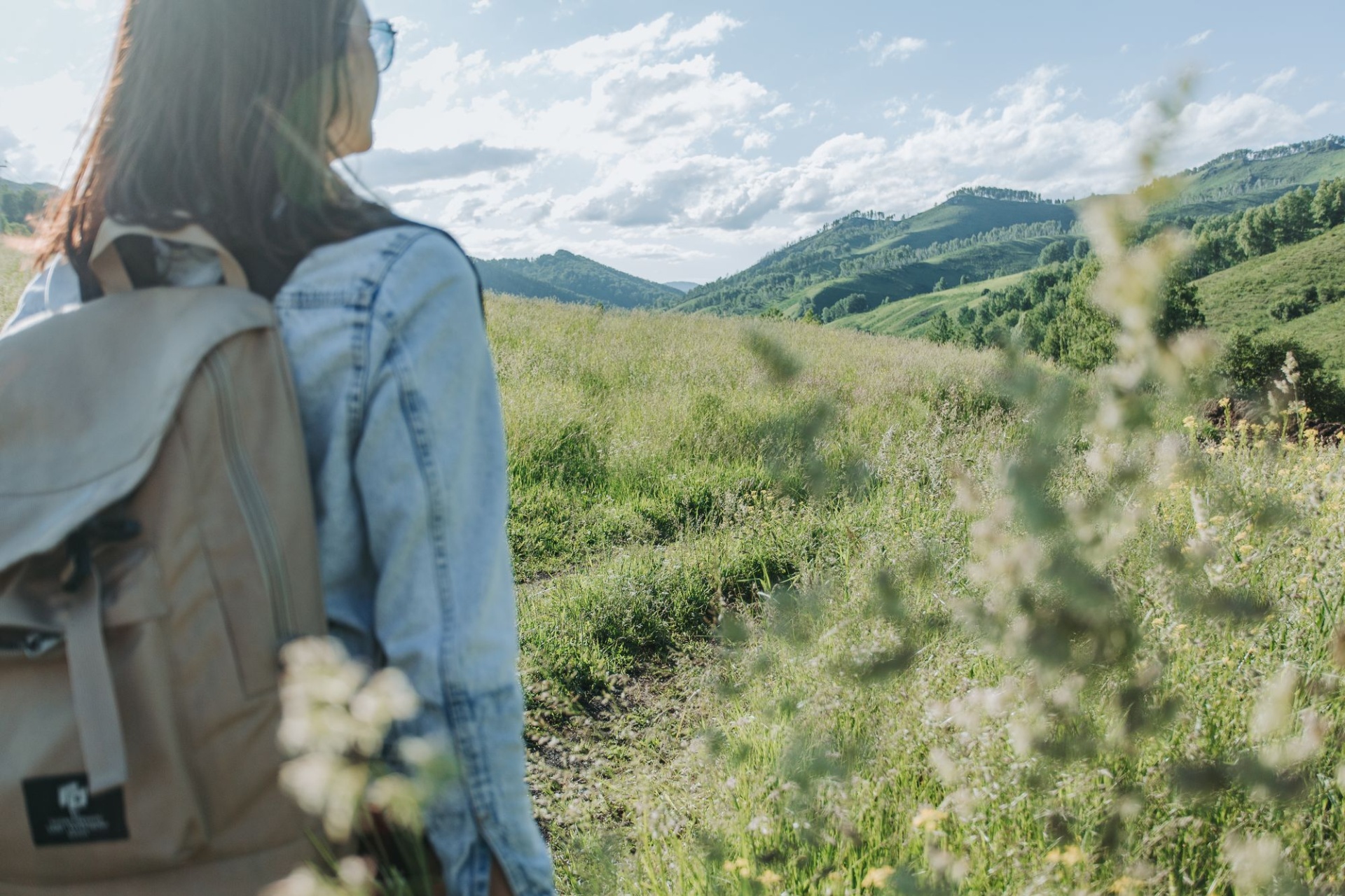 предгорья Алтайского района_Валерий Степанюк.jpg предгорья Алтайского района_Валерий Степанюк.jpg