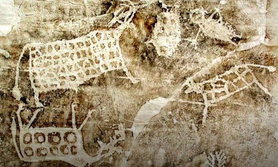 В Бийском краеведческом музее экспонируют «Послания далеких предков» – коллекцию скопированных петроглифов